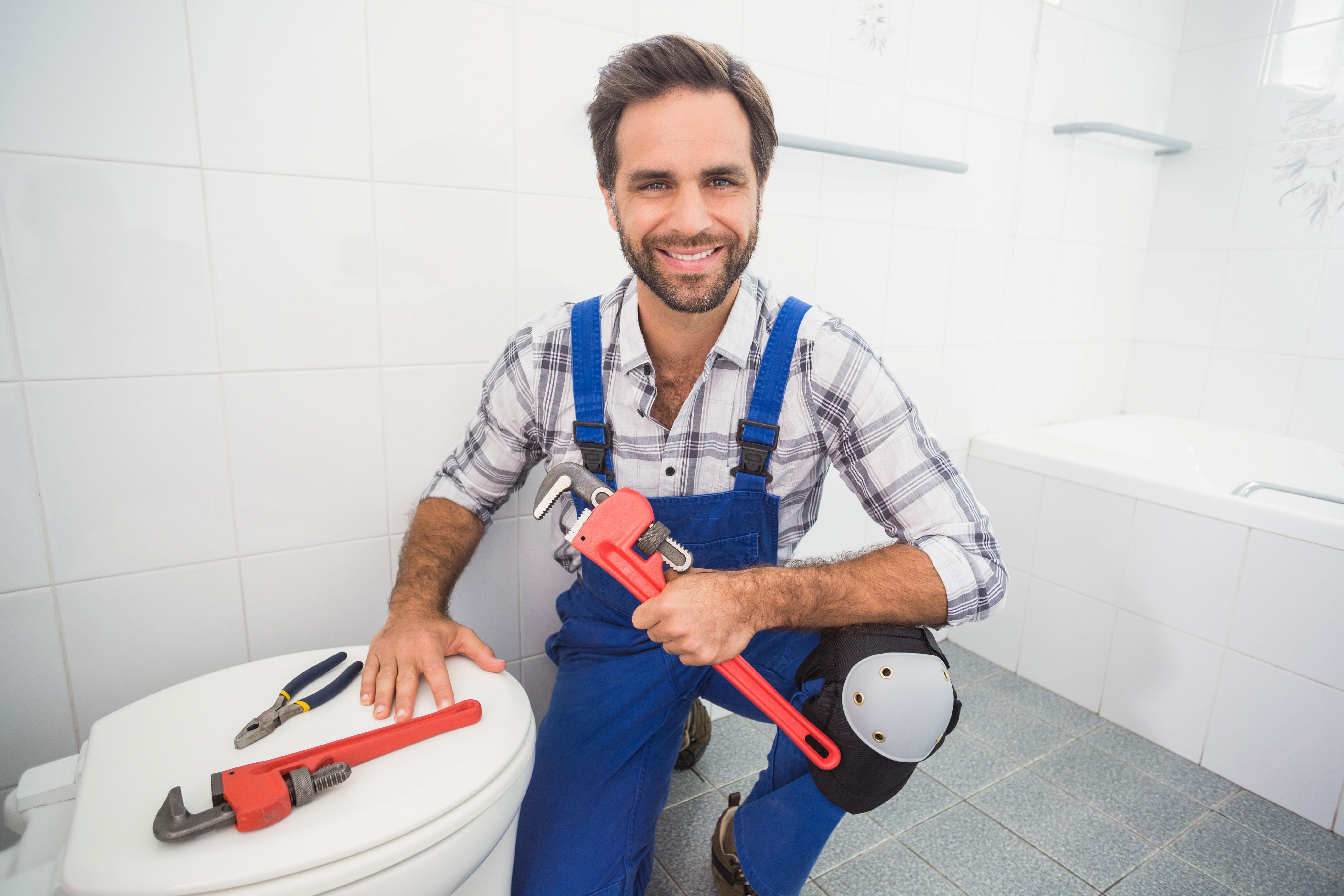 toilet repair